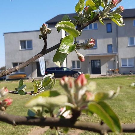 Noclegi Nad Biebrza Stara Szkola Wrocen Exterior foto
