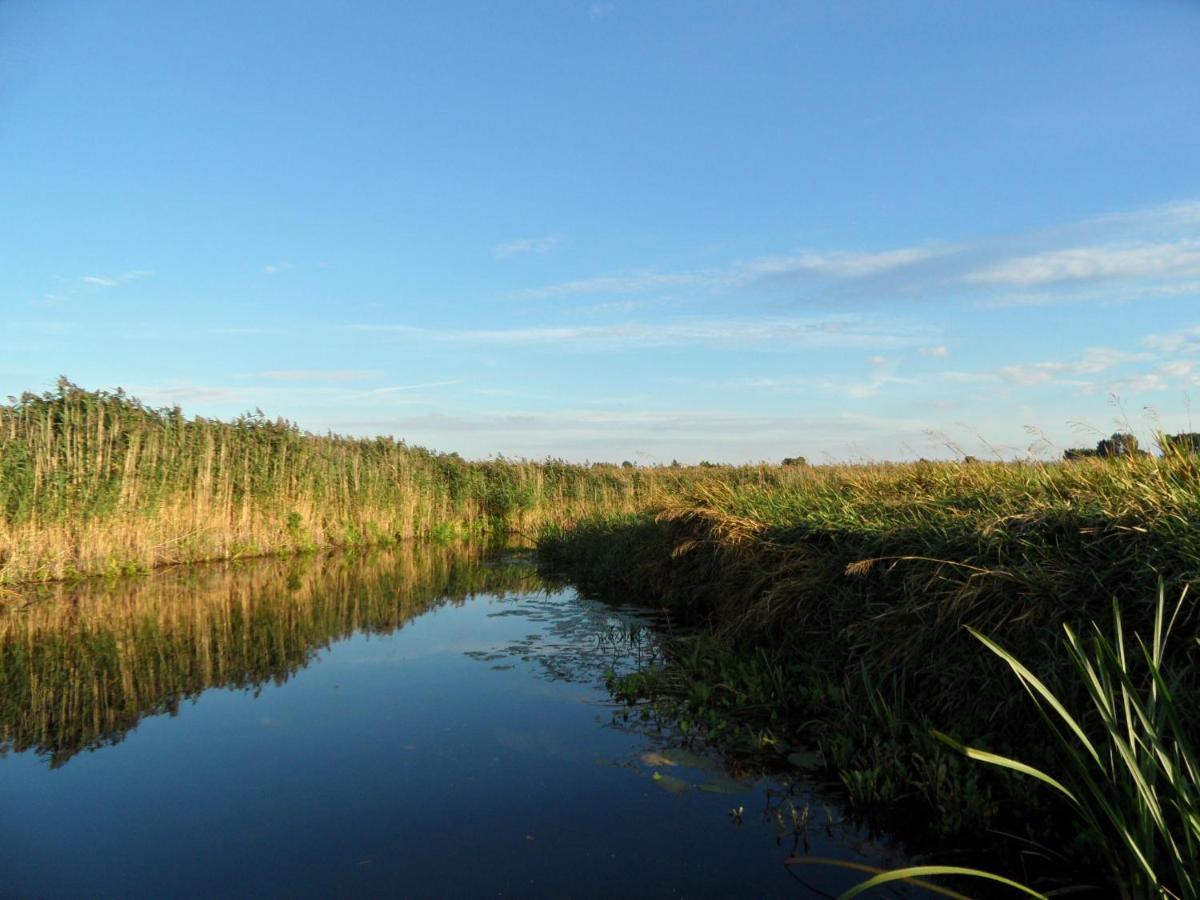 Noclegi Nad Biebrza Stara Szkola Wrocen Exterior foto