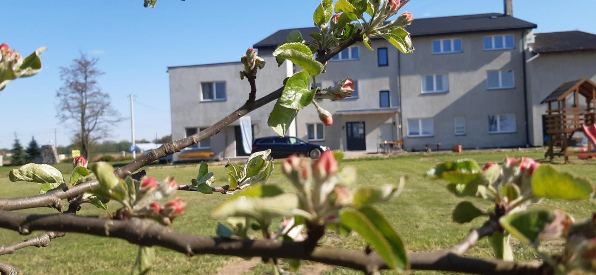 Noclegi Nad Biebrza Stara Szkola Wrocen Exterior foto