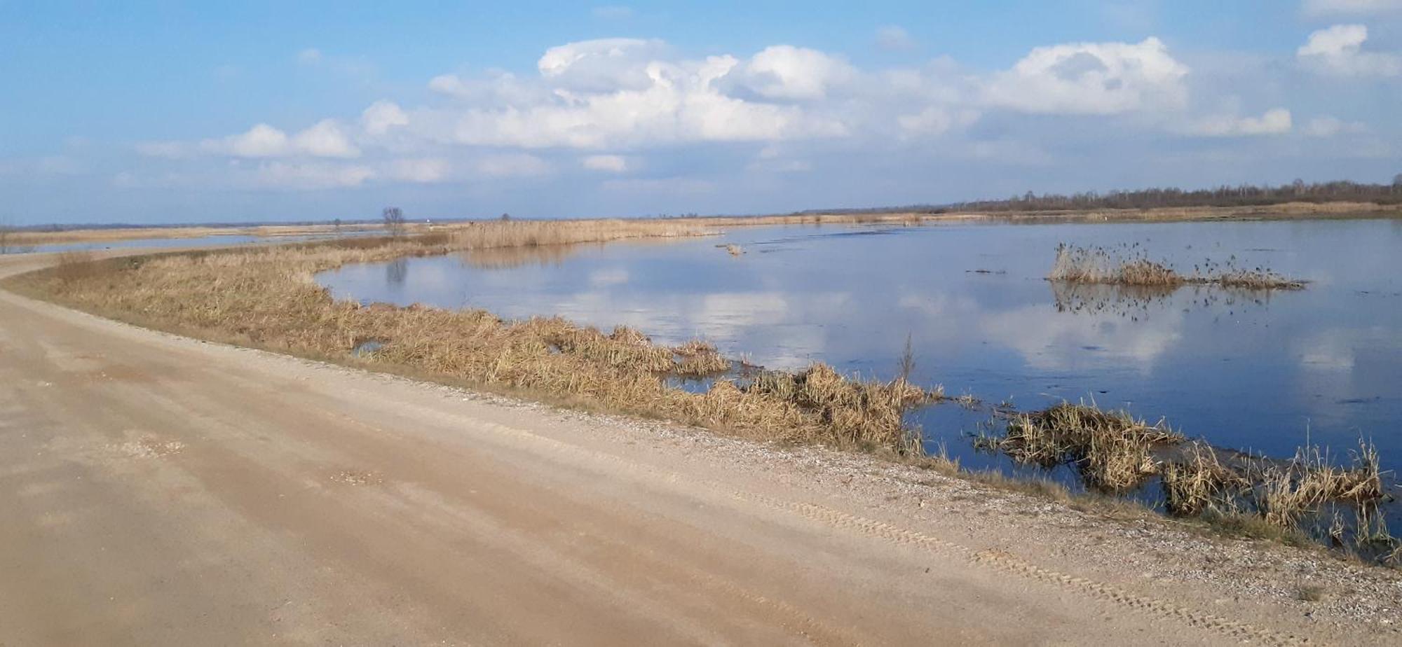 Noclegi Nad Biebrza Stara Szkola Wrocen Exterior foto