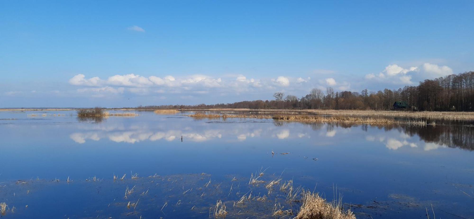 Noclegi Nad Biebrza Stara Szkola Wrocen Exterior foto