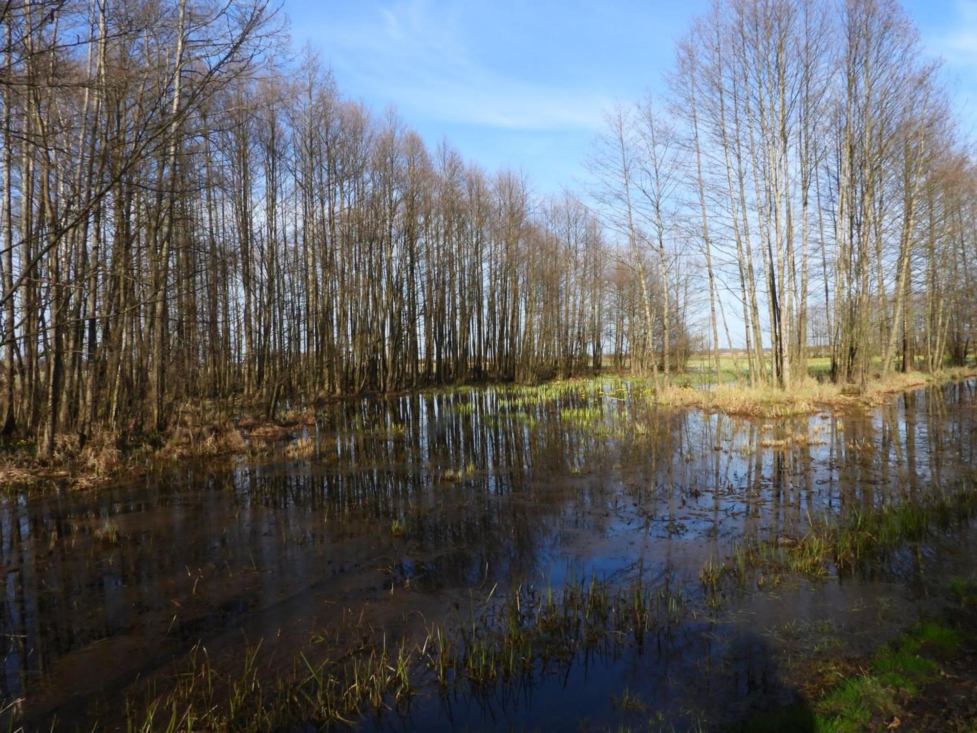 Noclegi Nad Biebrza Stara Szkola Wrocen Exterior foto