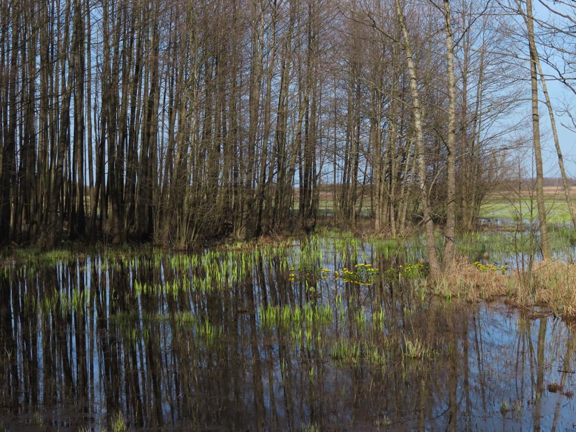 Noclegi Nad Biebrza Stara Szkola Wrocen Exterior foto