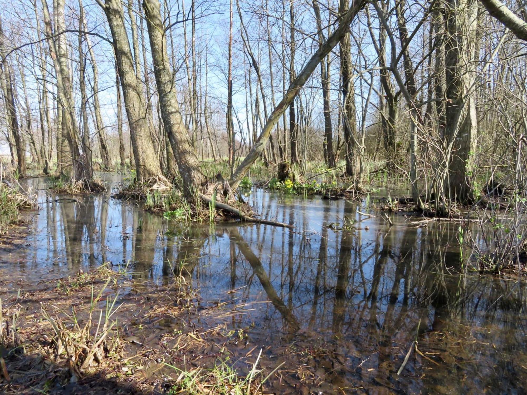 Noclegi Nad Biebrza Stara Szkola Wrocen Exterior foto